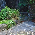 已封閉的登山古道