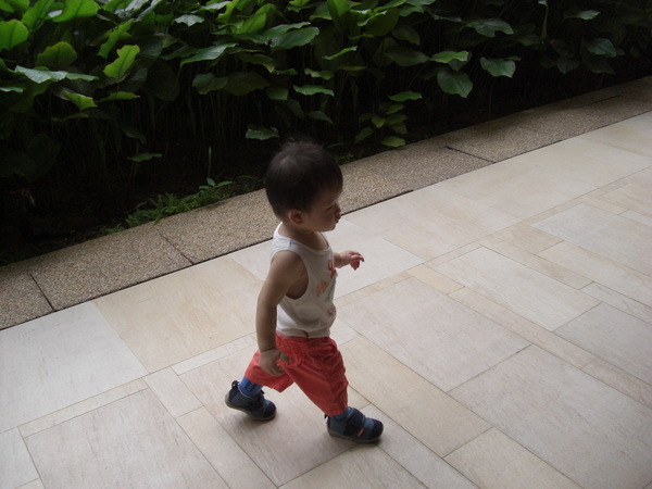 PICT0033.JPG