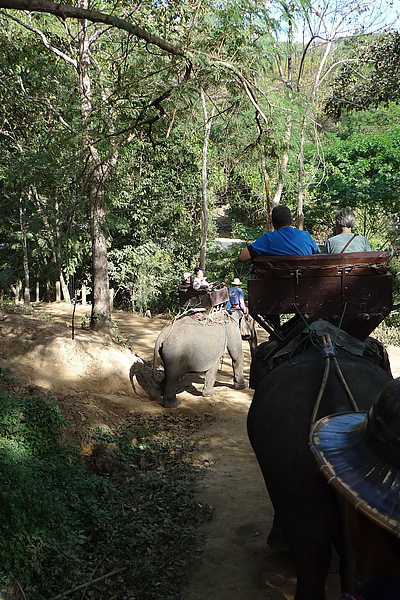 P1000469.JPG
