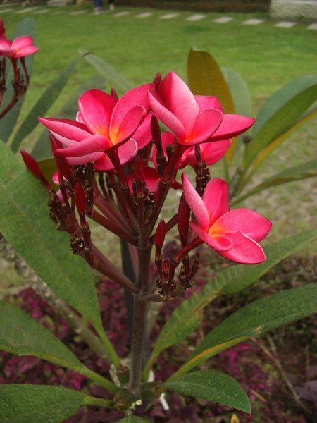 PICT0074.JPG