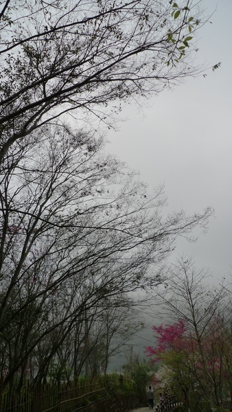 P1020187.JPG