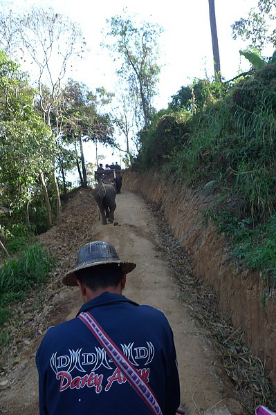 P1000452.JPG