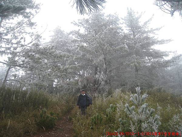 [台灣高山美景系列(一)] 我與父親的雪季Y型聖稜線篇(12