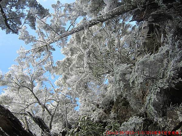 [台灣高山美景系列(一)] 我與父親的雪季Y型聖稜線篇(12