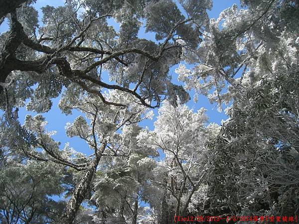 [台灣高山美景系列(一)] 我與父親的雪季Y型聖稜線篇(12