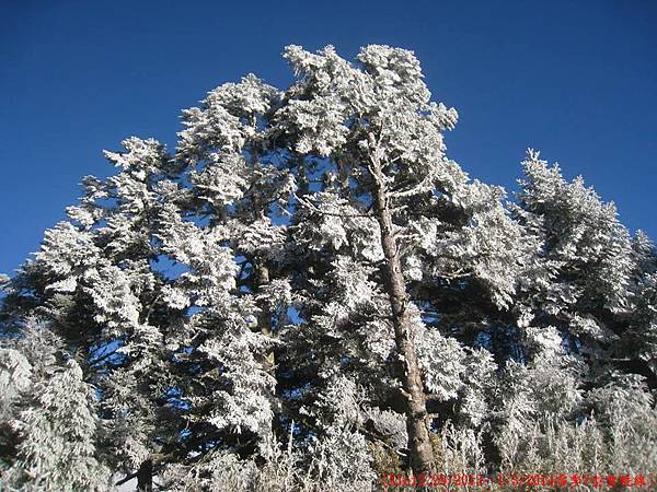 [台灣高山美景系列(一)] 我與父親的雪季Y型聖稜線篇(12