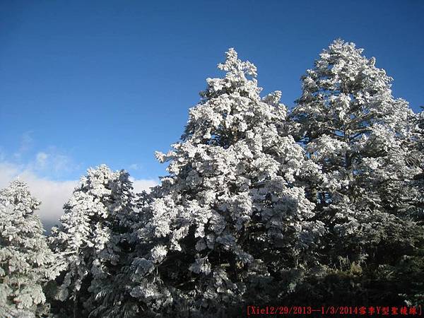 [台灣高山美景系列(一)] 我與父親的雪季Y型聖稜線篇(12