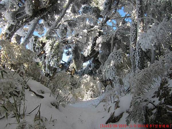 [台灣高山美景系列(一)] 我與父親的雪季Y型聖稜線篇(12