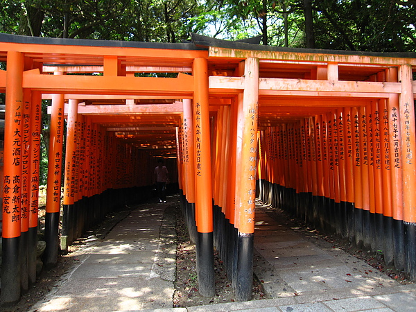 伏見稻荷神社 29 由左邊的鳥居往回走