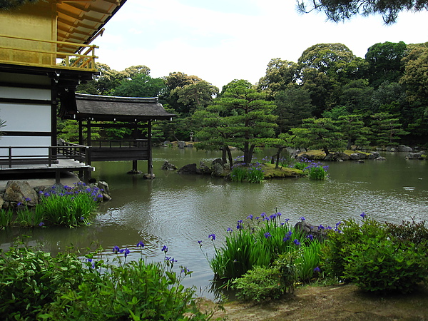 金閣寺 17 鏡湖池一隅.JPG