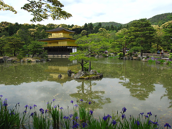 金閣寺 12 金閣與鏡湖池.JPG