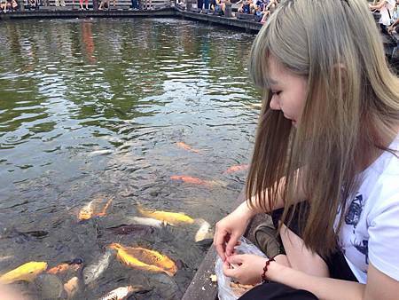 11050106_991840474169873_4906683191945694997_n.jpg 11050106_991840474169873_4906683191945694997_n.jpg