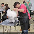 PhotoCap_107