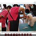 2013 7月動物王國美容學苑