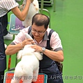 動物王國寵物美容學苑