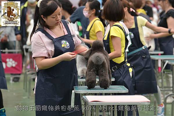 動物王國寵物美容學苑