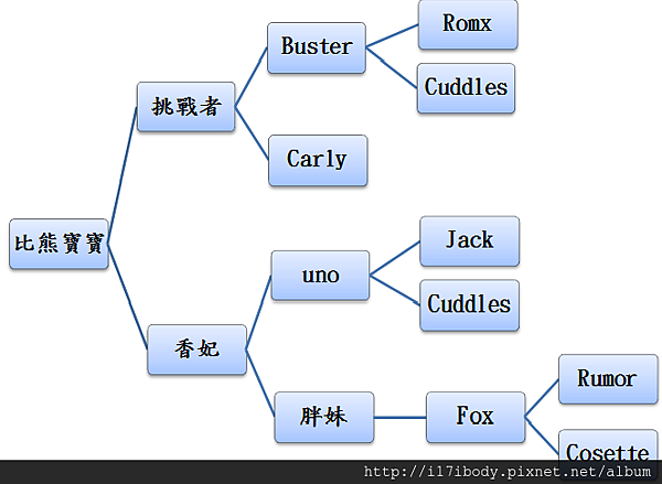 比熊寶寶關係圖