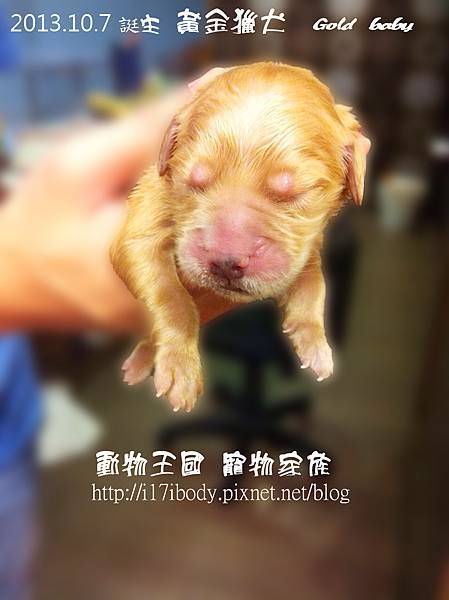 1007_1烤背 1007_1烤背