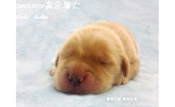 baby1010011 baby1010011
