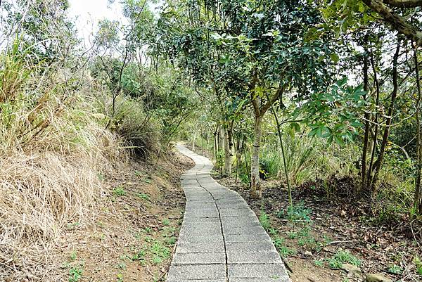 苗栗-搭乘台灣好行南庄線，探訪頭份後花園-老崎古道登山健行步