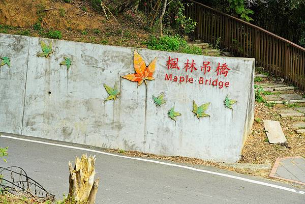 苗栗-搭乘台灣好行南庄線，探訪頭份後花園-老崎古道登山健行步