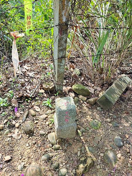 苗栗-搭乘台灣好行南庄線，探訪頭份後花園-老崎古道登山健行步