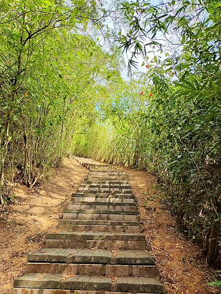 苗栗-搭乘台灣好行南庄線，探訪頭份後花園-老崎古道登山健行步