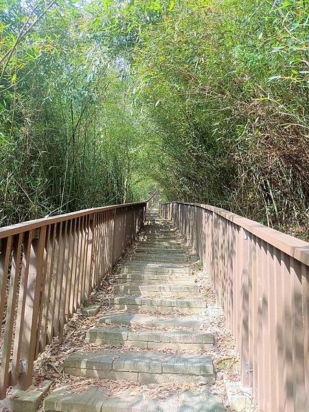 苗栗-搭乘台灣好行南庄線，探訪頭份後花園-老崎古道登山健行步