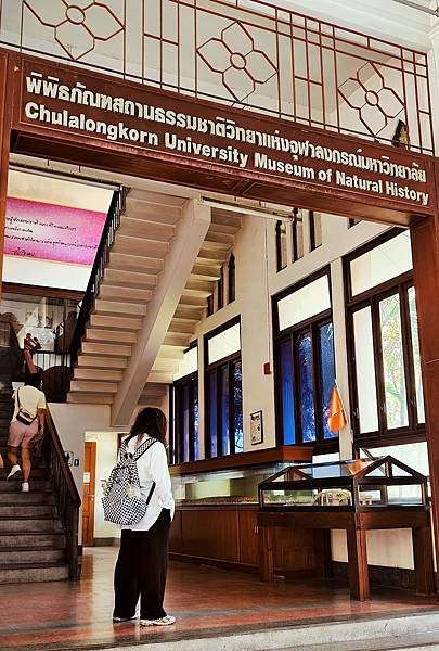 泰國 | 悠遊曼谷，探訪泰國第一學府朱拉隆功大學，欣賞自然歷