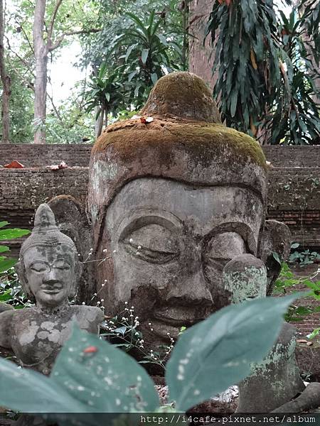 1128悟孟寺