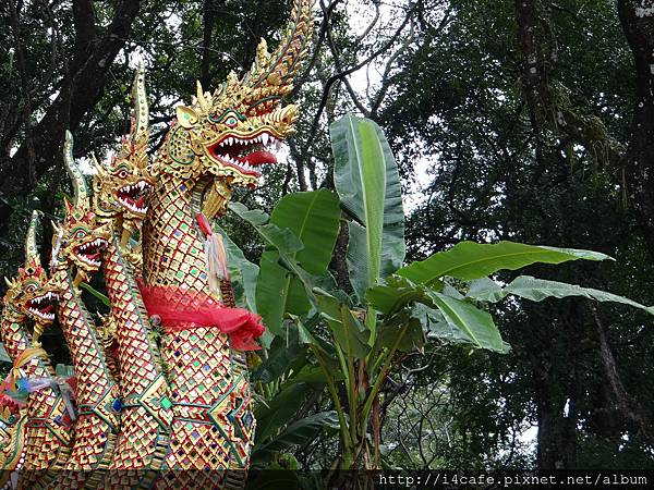 1129Wat Suthep