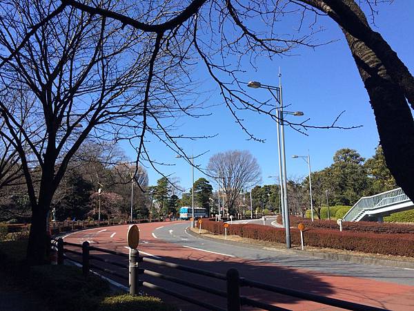 20160226 6天東京_8801.jpg