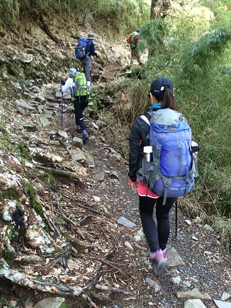 玉山6.jpg 玉山6.jpg