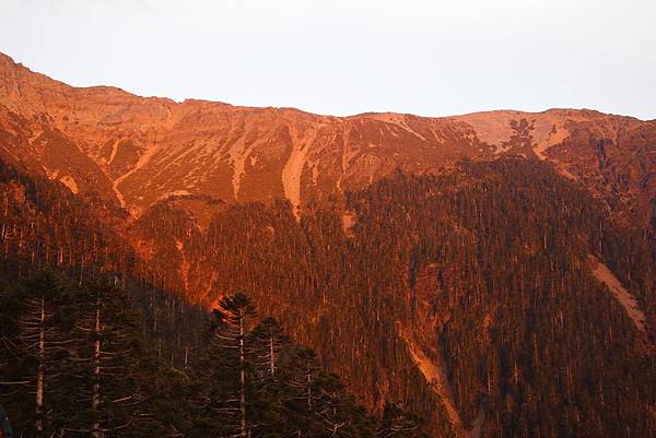 黃金玉山.jpg 黃金玉山.jpg