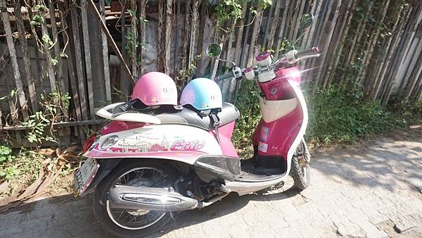 9 resident.JPG 9 resident.JPG