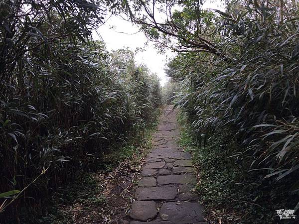 IMG_0091_结果.JPG IMG_0091_结果.JPG