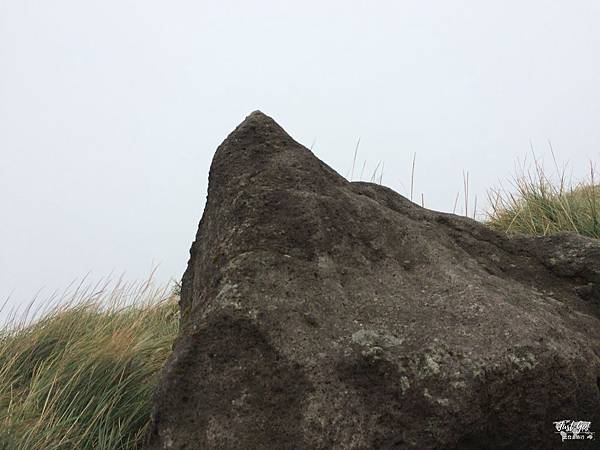 IMG_0121_结果.JPG IMG_0121_结果.JPG