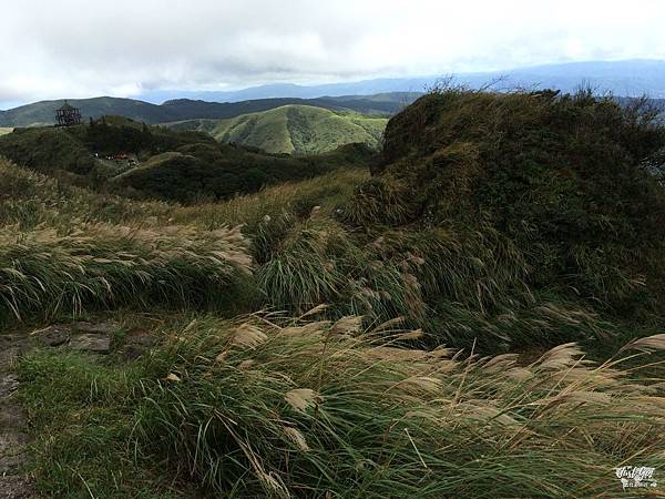 IMG_0171_结果.JPG IMG_0171_结果.JPG