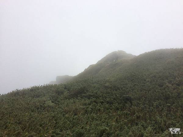 IMG_0093_结果.JPG IMG_0093_结果.JPG