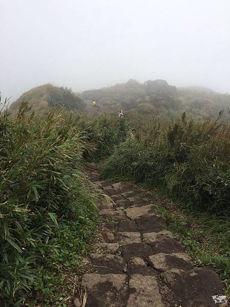 IMG_0099 (1)_结果.JPG IMG_0099 (1)_结果.JPG