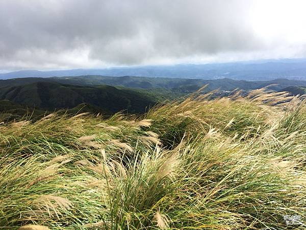 IMG_0167_结果.JPG IMG_0167_结果.JPG