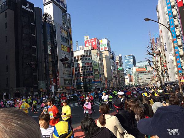 IMG_6644_结果.JPG IMG_6644_结果.JPG