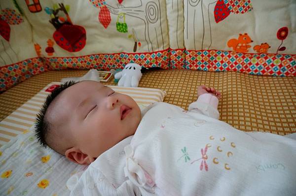 DSC06441.JPG DSC06441.JPG