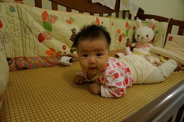 DSC06631.JPG DSC06631.JPG