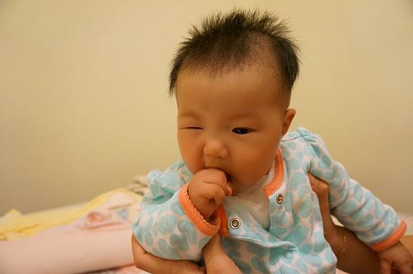 DSC06647.JPG DSC06647.JPG