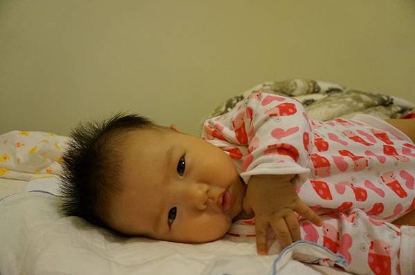 DSC06660.JPG DSC06660.JPG