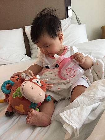 0123 (3).JPG 0123 (3).JPG