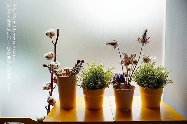 環境 (19).JPG 環境 (19).JPG