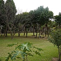 20111126_0011.JPG