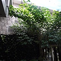 20111126_0023.JPG